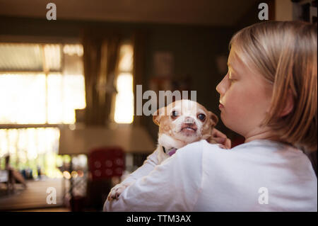 Mädchen mit Chihuahua während zu Hause stehend Stockfoto