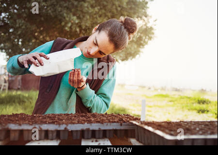 Frau gießen Samen aus Paket bei der Gartenarbeit im Feld Stockfoto