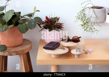 Hohe Betrachtungswinkel von persönlichen Accessoires mit Topfpflanzen und Tasten auf hölzernen Tisch gegen die Wand zu Hause angeordnet Stockfoto