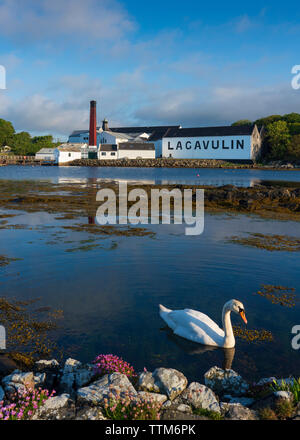 Ansicht der Lagavulin Distillery auf der Insel Islay im Inneren Hebriden von Schottland, Großbritannien Stockfoto