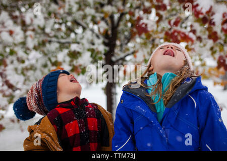 Verspielte Geschwister heraus haften Zunge beim Stehen im Freien im Winter Stockfoto