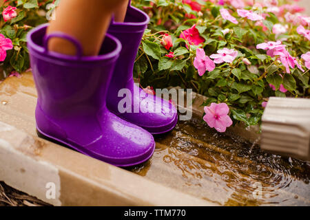 Low-Feld der Mädchen mit lila Gummistiefel beim Stehen von impatiens Blühen in den Yard Stockfoto