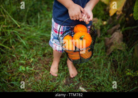 Niedrige Abschnitt der Boy holding Eimer voller Kürbisse in Hof Stockfoto