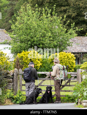 Grasmere, Cumbria, Großbritannien: Zwei Männer, die Rucksäcke tragen, stehen im Gespräch an einem 5-Bar-Tor. Jeder Mann hält einen schwarzen Labrador, der an seinen Füßen sitzt. Stockfoto