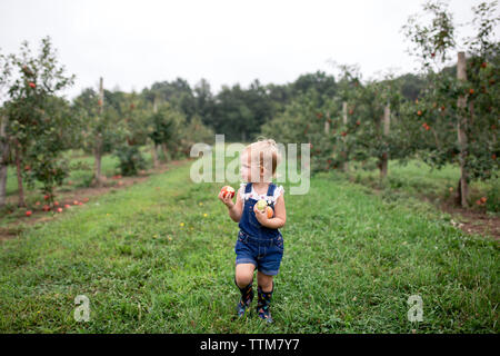 Süße Mädchen essen Apple beim Stehen auf Wiese Stockfoto