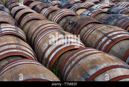Blick auf Fässer Whisky Bunnahabhain Distillery auf der Insel Islay im Inneren Hebriden von Schottland, Großbritannien Stockfoto