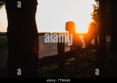 Kinder auf einem Zaun mit der untergehenden Sonne Stockfoto