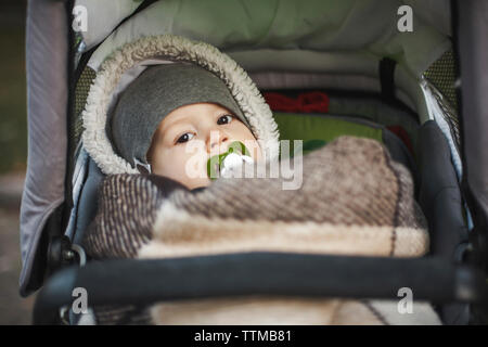 Portrait von niedlichen Toddler mit Schnuller im Mund liegen auf Baby Stroller im Park im Herbst Stockfoto