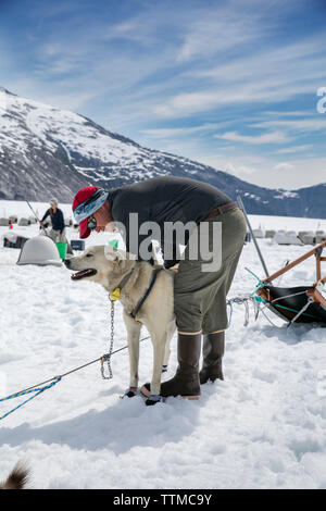 USA, Alaska, Juneau, die Schlittenhunde Rest zwischen Tours, Hubschrauber Hundeschlitten Tour führt Sie über die Taku Glacier fliegt in die HeliMush Dog Camp bei Guardian Mo Stockfoto