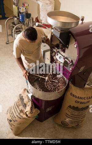 BELIZE, Punta Gorda, Toledo, die Gäste können an einem Workshop „Bean to Cup“ teilnehmen, bei dem sie die Kaffeepflanze besichtigen und sich den Prozess der Kaffeezubereitung zeigen Stockfoto