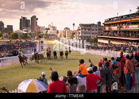 MAURITIUS, Port Louis, einem internationalen Pferderennen Tausenden an Champ de Mars Rennen Cource, Internationale Jockey Tag zeichnet Stockfoto