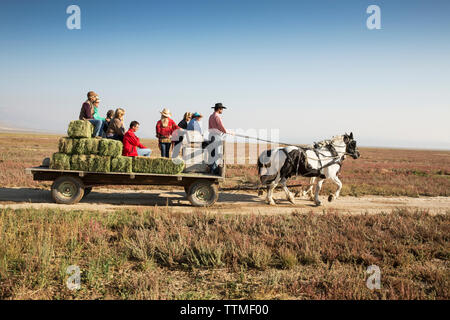 USA, Nevada, Brunnen, Gäste können in Horse-Drawn Planwagenfahrten während ihres Aufenthaltes im Mustang Monument, einer nachhaltigen Luxus Eco Resort teilnehmen Stockfoto