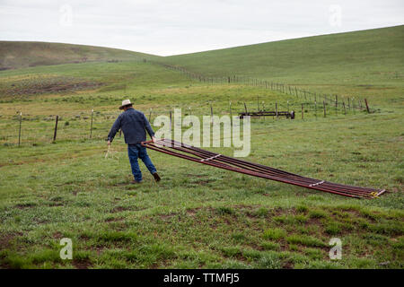 USA, Oregon, Enterprise, Cowboy und Rancher Todd Nash schleppt ein Zaun Tor durch eine Wiese Stockfoto