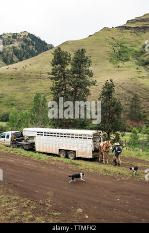 USA, Oregon, Joseph, Cowboys Todd Nash und Cody Ross vorbereiten für ein Vieh bis Laufwerk Big Sheep Creek Stockfoto