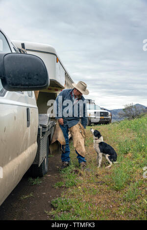 USA, Oregon, Joseph, Cowboy Todd Nash bereitet sich für ein Vieh bis Laufwerk Big Sheep Creek Stockfoto