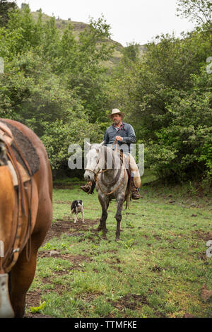 USA, Oregon, Joseph, Cowboy Todd Nash sucht für sein Vieh, das wilde Pferd Entwässerung über Big Sheep Creek Stockfoto