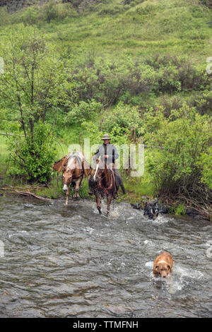 USA, Oregon, Joseph, Cowboy Cody Ross reitet zwar Big Sheep Creek nach dem Umzug Rinder im Regen, im Nordosten Oregon Stockfoto