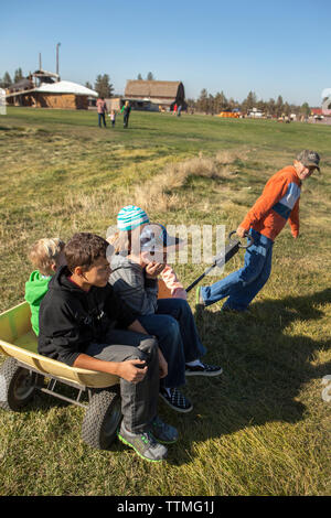 USA, Oregon, Bend, junge Kinder spielen Um in einer Schubkarre, die während der jährlichen Pumpkin Patch in der Nähe von Terrebone Smith Rock State Park Stockfoto