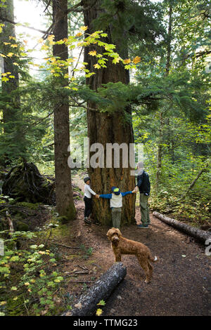 USA, Oregon, Oregon Kaskaden, eine junge Familie Wanderungen zu Proxy fällt von der McKenzie Pass auf Hwy 242, Wilamette National Forest entfernt Stockfoto