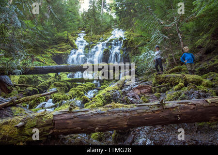 USA, Oregon, Oregon Kaskaden, jungen Wanderung und prüfen Sie den oberen Proxy fällt in der Wilamette National Forest im frühen Herbst, McKenzie Pass Stockfoto