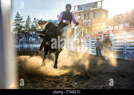 USA, Oregon, Schwestern, Schwestern Rodeo Cowboys reiten eine 2.000 Pfund Stier mit praktisch keine Kontrolle für so lange Sie können Stockfoto