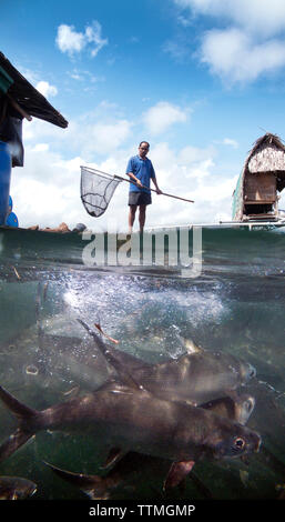 Philippinen. Puerto Princessa, Fisch Farm Manager Ennesto Estrada, Santa Lucia, Stockfoto