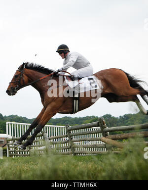 USA, Tennessee, Nashville, Irokesen Steeplechase, Jockeys und ihre Pferde Luft über einen Sprung in das Holz Rennen Stockfoto