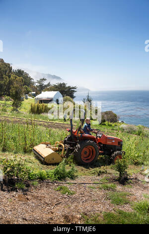 USA, Kalifornien, Big Sur, Esalen, Bodenbearbeitung ein Feld, auf dem Bauernhof, die Esalen Institut Stockfoto