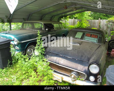 Abgebrochene klassische Autos in einem Feld in der Nähe von New Jersey Hackettstown, New Jersey. Links zu verrotten, diese Klassiker sitzen verloren und scheinbar vergessen. Stockfoto