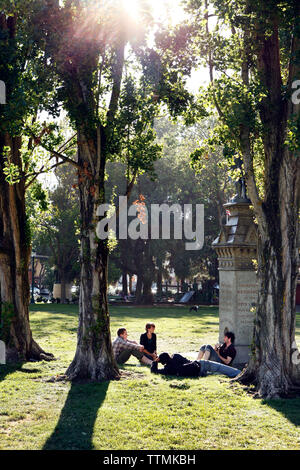 USA, Kalifornien, San Francisco, die Leute sitzen auf dem Rasen und Musik am Nachmittag genießen, dem Washington Square Park Stockfoto