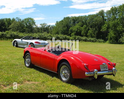 Klassische britische Autos auf lokaler Staat New York Auto Show im Warwick Valley Winery in der Nähe von Warwick, New York. Versammlung nach einer Kreuzfahrt entlang der Fahrbahnen. Stockfoto