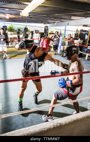 USA, Oahu, Hawaii, MMA Mixed Martial Arts Ultimate Fighter Lowen Tynanes Züge und spieren an seiner Turnhalle in Honolulu. Stockfoto