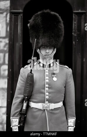 ENGLAND, London, eine britische Royal Guard steht zu Fuß auf dem Vorplatz des Buckingham Palace (B&W) Stockfoto