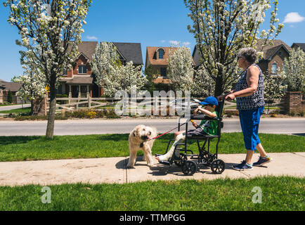 Seitenansicht von Großmutter drücken Enkel auf Rollstuhl mit Hund auf Fußweg während der sonnigen Tag Stockfoto