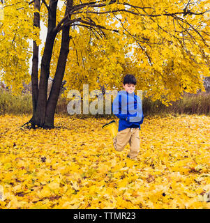 Junge in Regenkleidung kicking Blätter im Herbst unter einem goldenen Baum Stockfoto