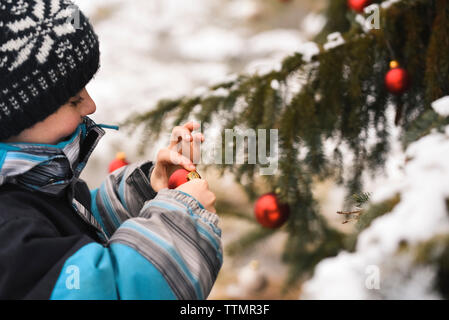 Der junge Baum draußen Dekorieren mit Weihnachten Kugeln. Stockfoto