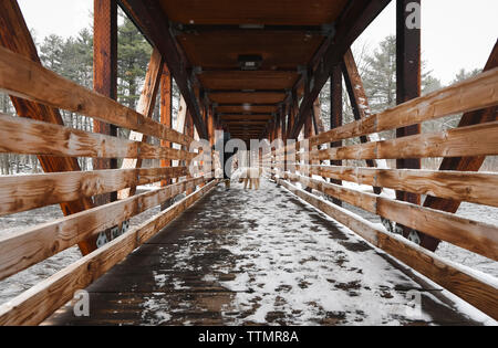 Teenager gehen Hund über verschneite Holz- Brücke. Stockfoto