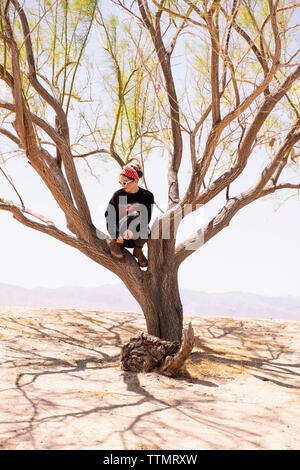 Junge Frau sitzt im Baum Stockfoto