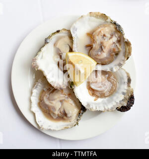 Ansicht von oben der Austern mit Zitrone Schicht in die Platte an der weißen Tisch Stockfoto