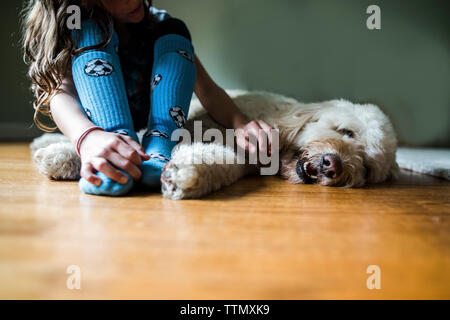 Zugeschnittenes Bild des Mädchens sitzen durch Hund auf dem Boden zu Hause Stockfoto