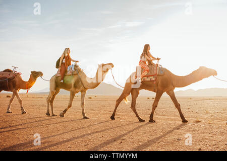 Weibliche Freunde reiten auf Kamelen in der Wüste gegen Himmel während der sonnigen Tag Stockfoto