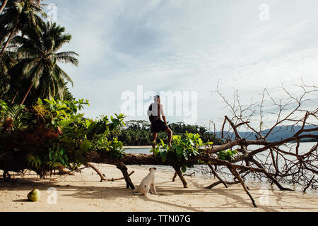 Wanderer mit Hund suchen in Aussicht beim Stehen auf umgefallene Baum gegen Sky Stockfoto