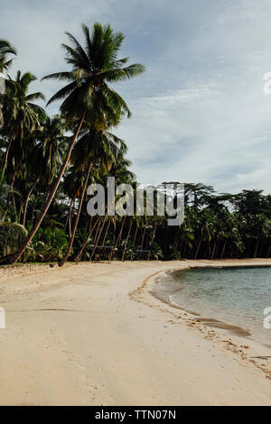 Malerischer Blick auf Kokospalmen gegen Himmel am Strand Stockfoto