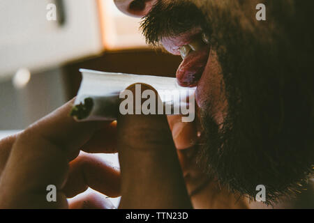 Bärtiger Mann lecken Ende Rolling Paper während Marihuana Gelenke zu Hause Stockfoto