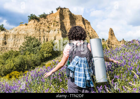 Ansicht der Rückseite Frau mit Rucksack wandern inmitten von Pflanzen im Wald Stockfoto