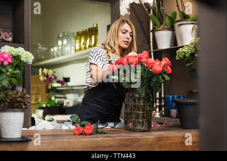 Florist Anordnen von roten Rosen in Vase Stockfoto