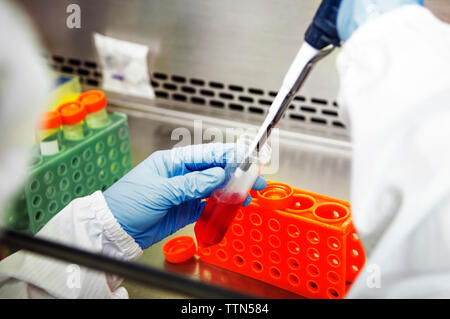 Zugeschnittenes Bild des Wissenschaftlers mit Pipette während Experiment im Labor Stockfoto