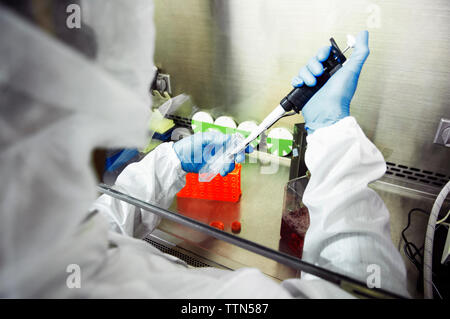 Wissenschaftler mit Pipette während Experiment im Labor Stockfoto