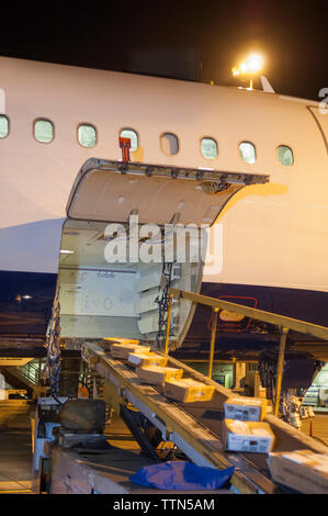 Pakete werden in Cargo Flugzeug während der Nacht geladen Stockfoto