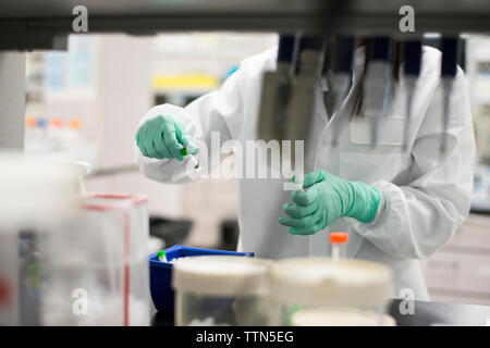 Mittelteil der Wissenschaftler untersuchen Proben im Labor Stockfoto